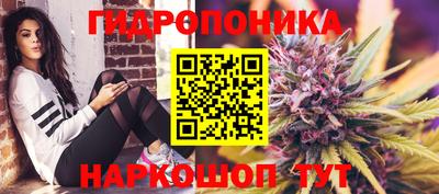 бошки Гусь-Хрустальный