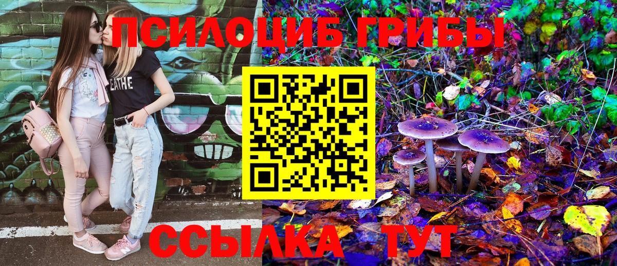 Галлюциногенные грибы GOLDEN TEACHER Мичуринск
